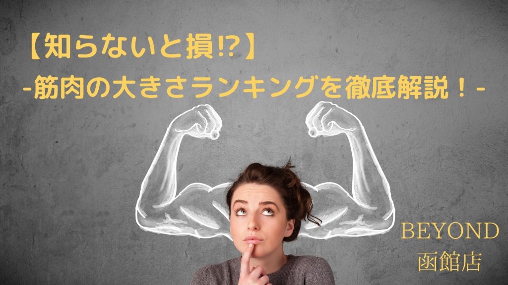 Ranking of Muscle Sizes